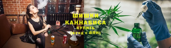 прущие грибы Вязьма