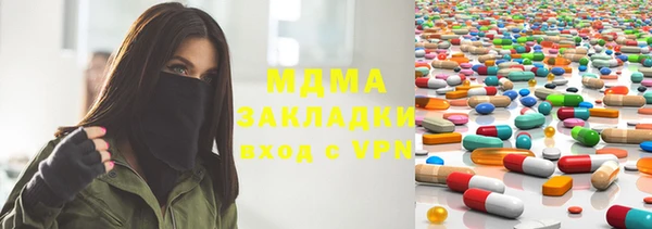 прущие грибы Вязьма