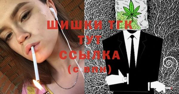 круглые Вяземский