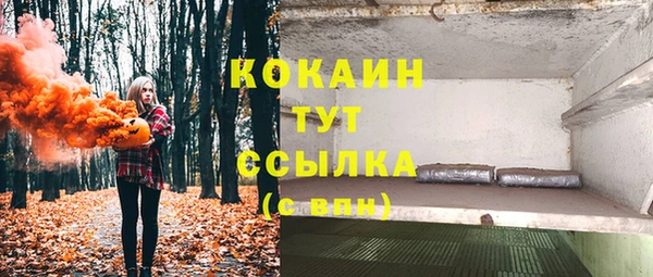 прущие грибы Вязьма