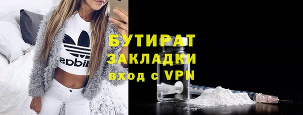 прущие грибы Вязьма