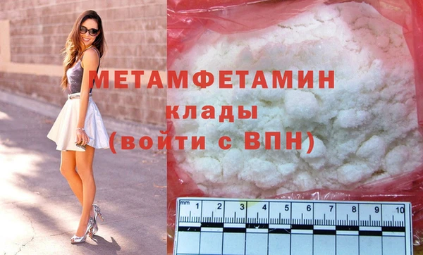 прущие грибы Вязьма