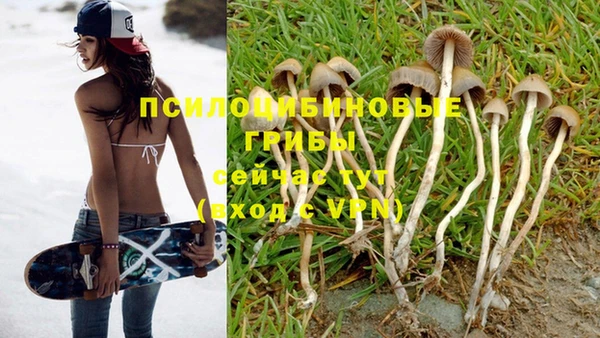 круглые Вяземский