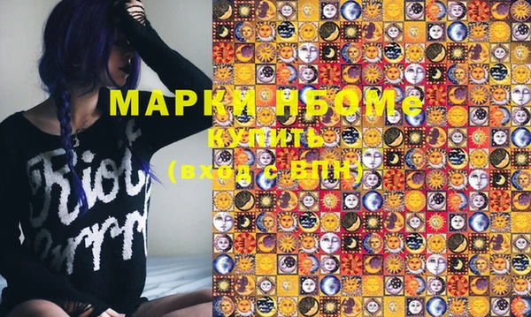 прущие грибы Вязьма