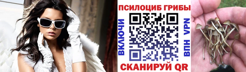 Купить  Похвистнево  Галлюциногенные грибы ЛСД 